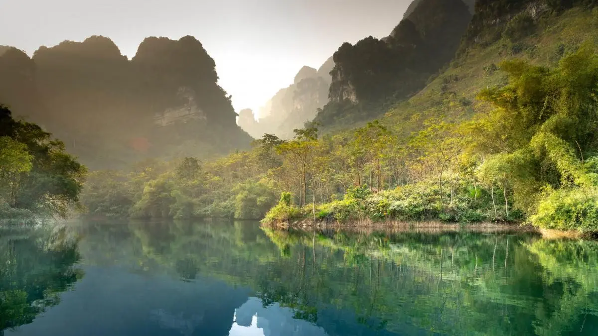 高效智慧